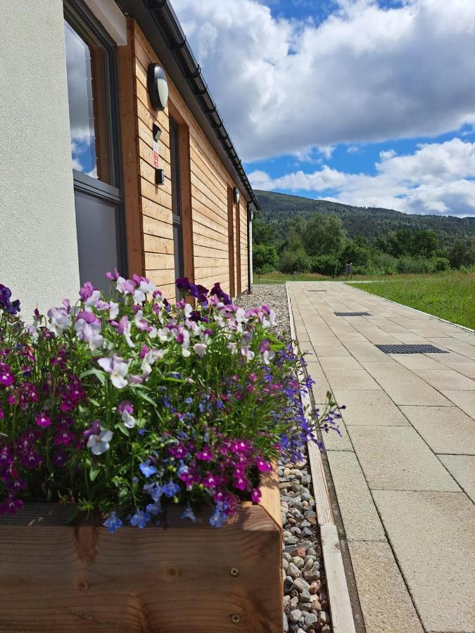 An Spiris Accommodation At Dundreggan Rewilding Centre Экстерьер фото